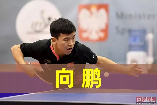 体育冬奥时
