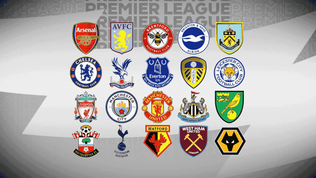 展现了出色 展现了出色